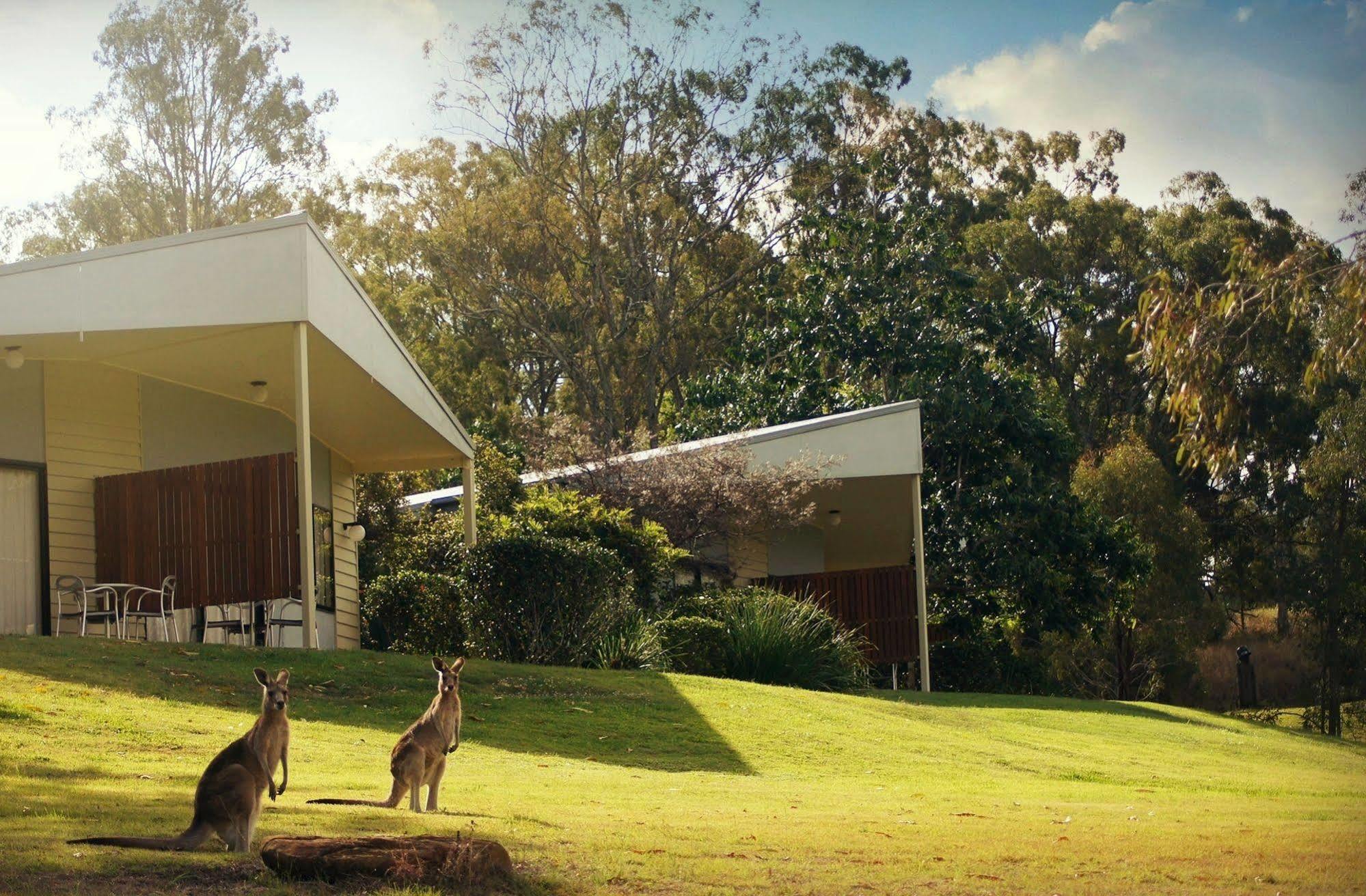 Boonah Valley Motel Exterior foto